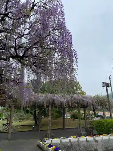 大山祇神社(愛媛県)