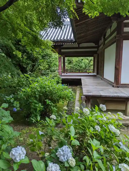 法金剛院(京都府)