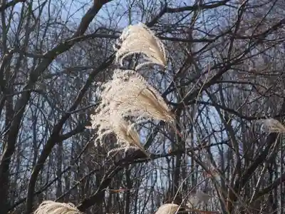 永福寺　童子堂の周辺
