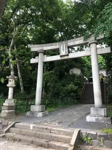 日吉神社の鳥居
