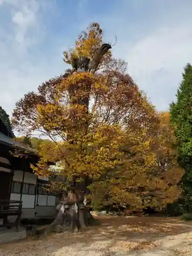 賀羅加波神社の自然