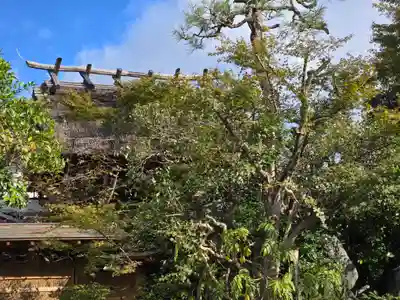 泉徳寺(京都府)