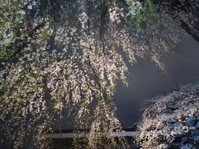 常圓寺(東京都)