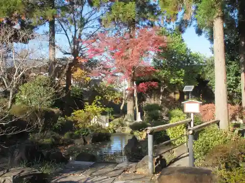 善導寺(群馬県)