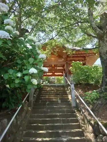 長谷寺(神奈川県)