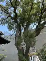 貴布禰神社(静岡県)