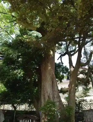 菅原神社(神奈川県)