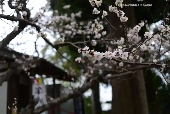 永谷天満宮(神奈川県)