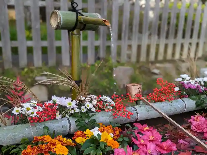 二尊院(京都府)