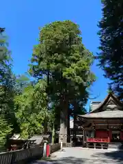 三峯神社(埼玉県)