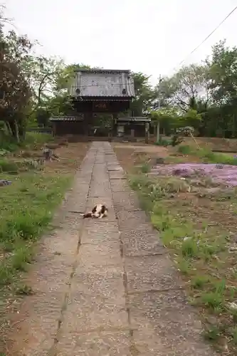 宗悟寺(埼玉県)