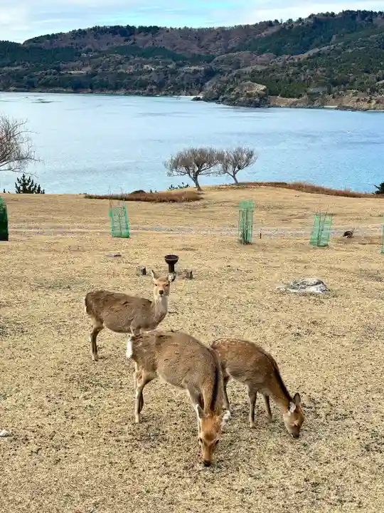 金華山黄金山神社(宮城県)