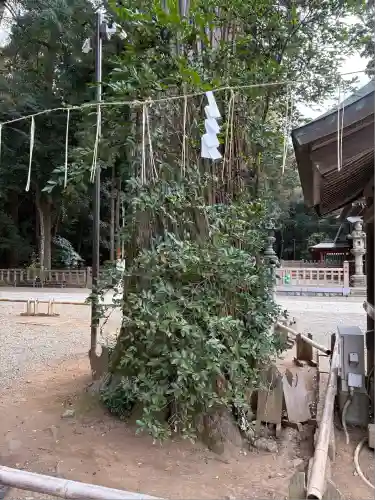 鹿島神宮(茨城県)