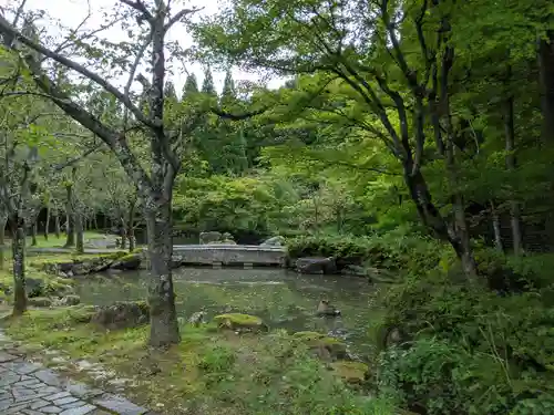 清大寺(越前大仏)(福井県)
