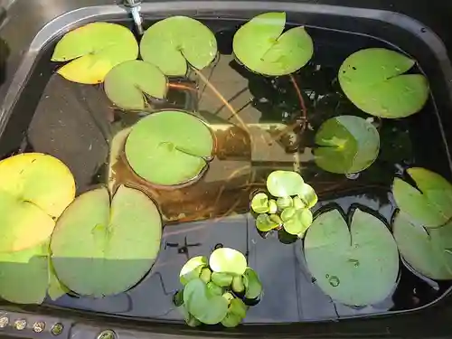 極楽山　浄土寺の自然