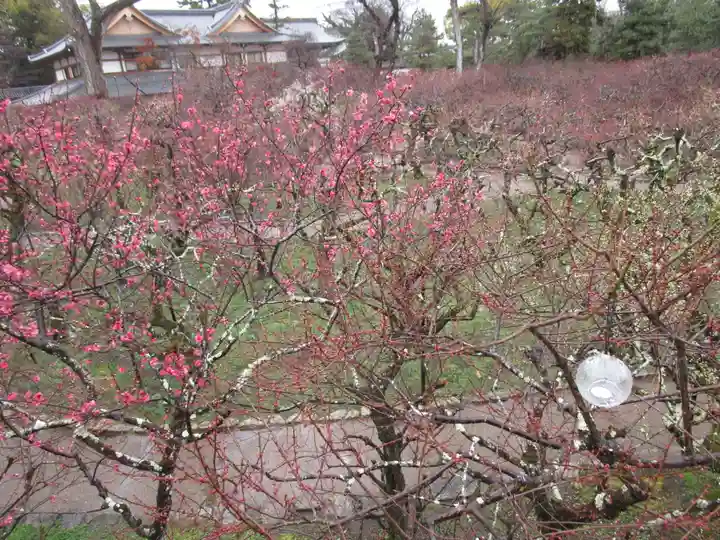 北野天満宮(京都府)