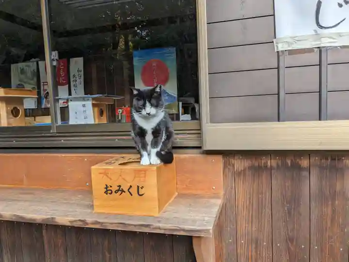 八幡社(柏井町)の動物