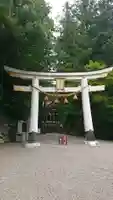 宝登山神社の鳥居