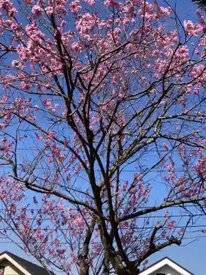 厳島神社(神奈川県)