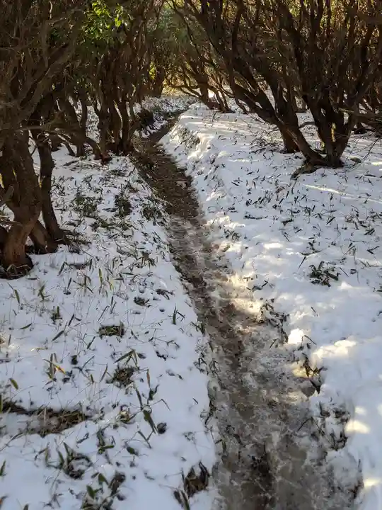 椿大神社(三重県)