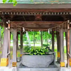 彌彦神社 (伊夜日子神社)の手水舎(2023年06月23日(金) 11時37分27秒投稿)