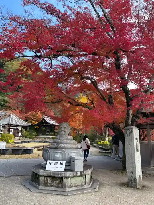 三室戸寺(京都府)