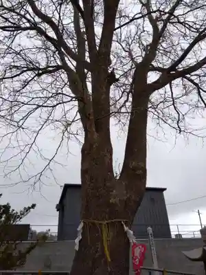 龍宮神社(北海道)