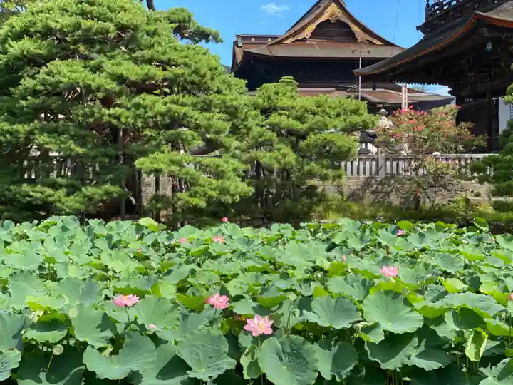 善光寺(長野県)