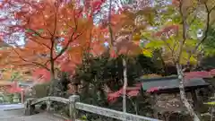 鍬山神社(京都府)