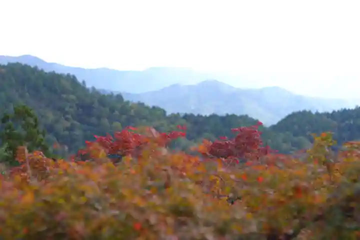 鞍馬寺(京都府)