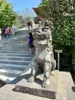 鶴岡八幡宮の狛犬