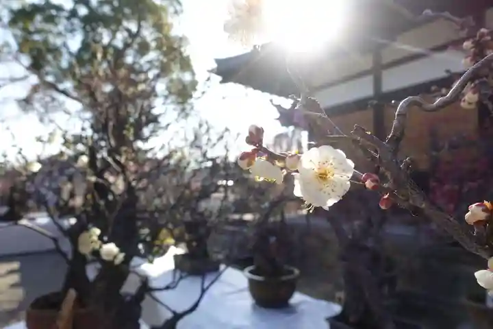 菅原天満宮(菅原神社)のその他建物
