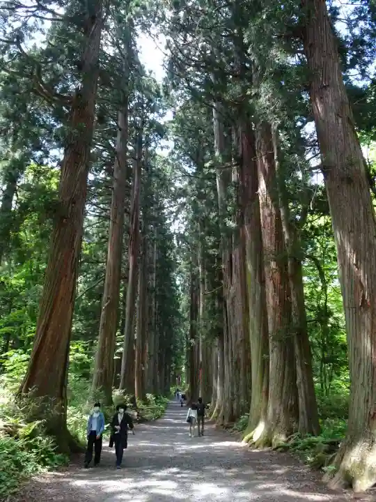 戸隠神社奥社(長野県)
