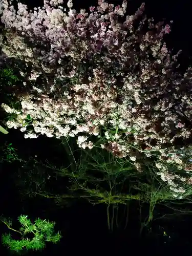 高台寺（高台寿聖禅寺・高臺寺）(京都府)