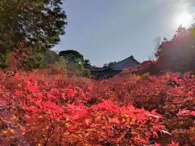 東福禅寺(東福寺)(京都府)