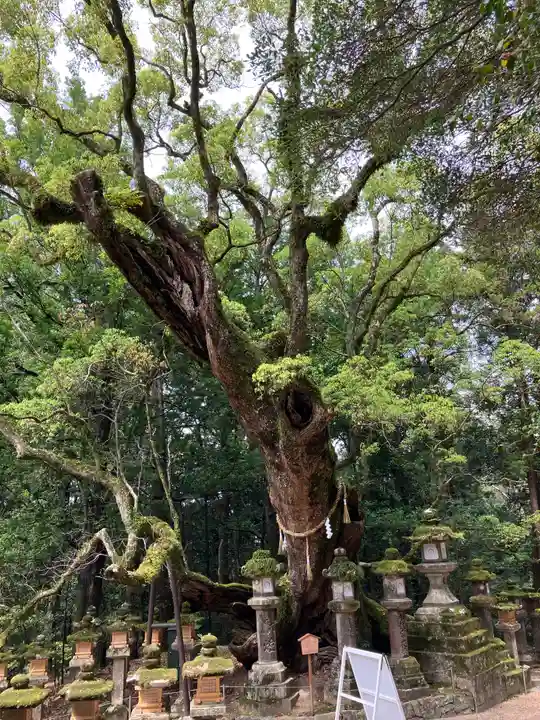 春日大社(奈良県)