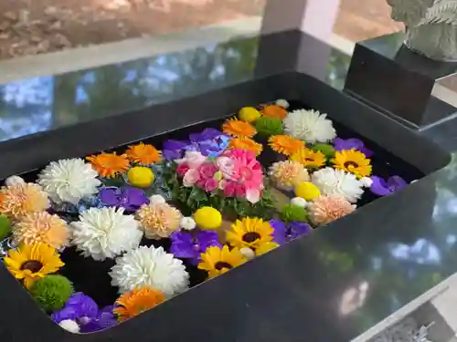 大谷地神社の手水舎
