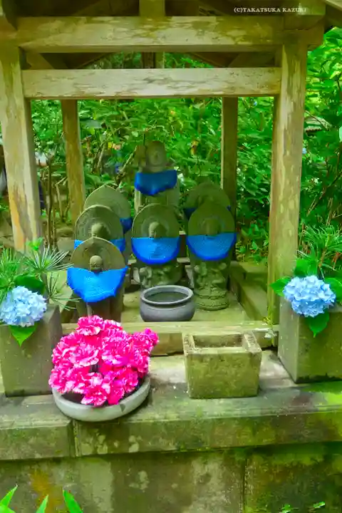 明月院(神奈川県)