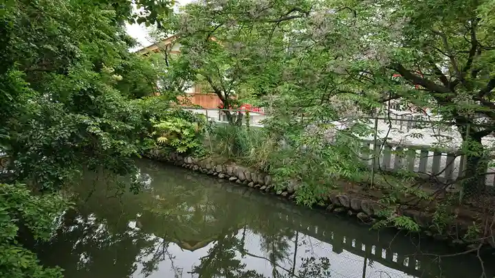 正ノ木稲荷 稲積神社の自然