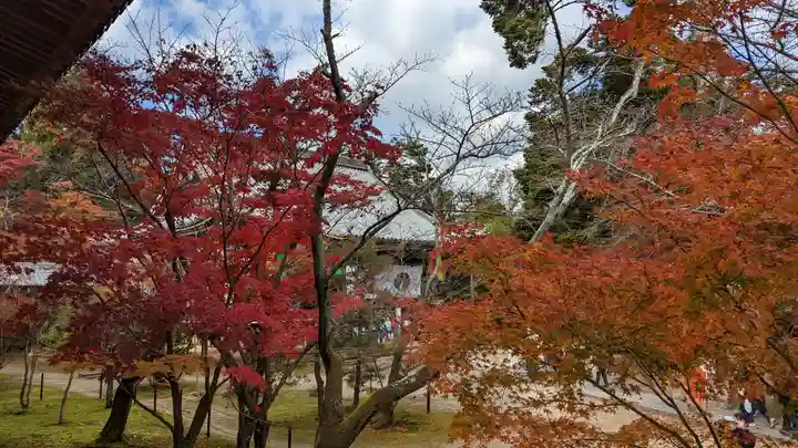 光明寺(粟生光明寺)(京都府)