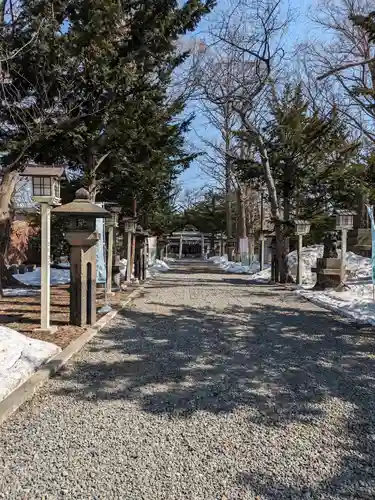 新琴似神社の景色