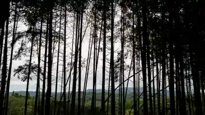 荒戸神社(岡山県)