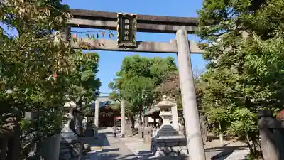 橘樹神社の鳥居