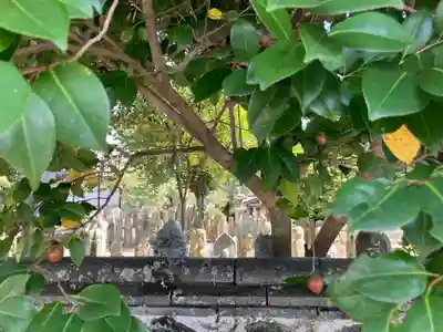 羅漢寺(兵庫県)