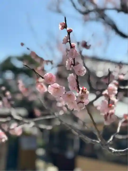 滋賀県護国神社(滋賀県)