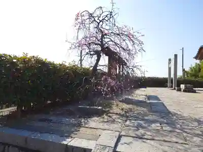 岩国白蛇神社の自然