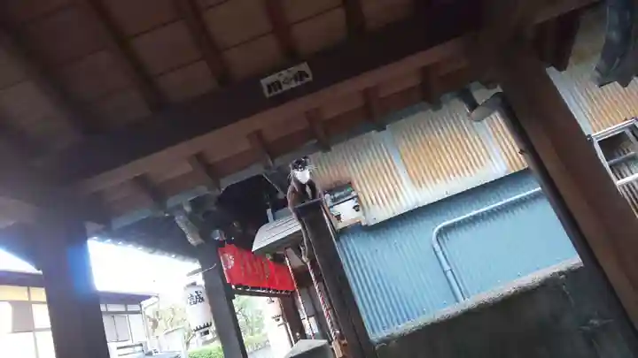 道祖神社のその他建物