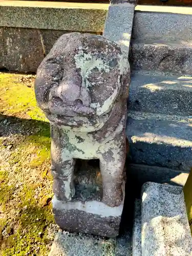 小浜神社の狛犬