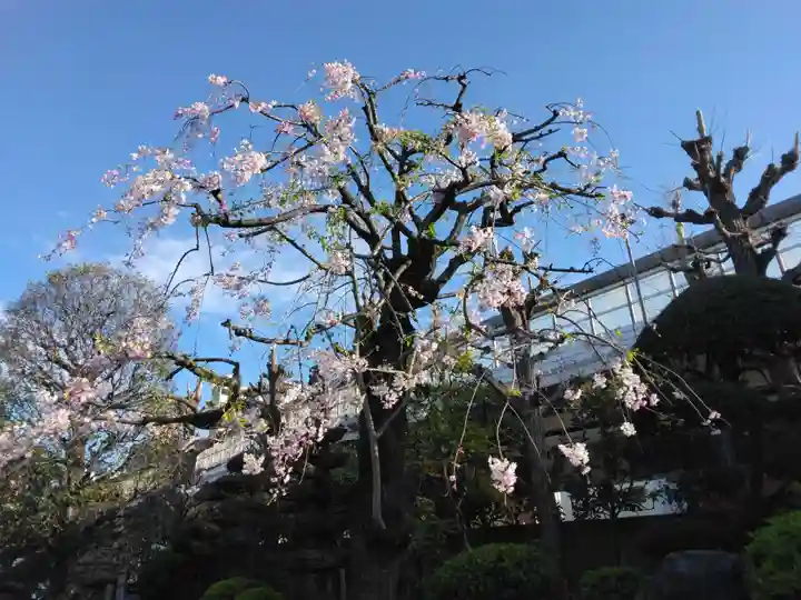 重林寺(東京都)
