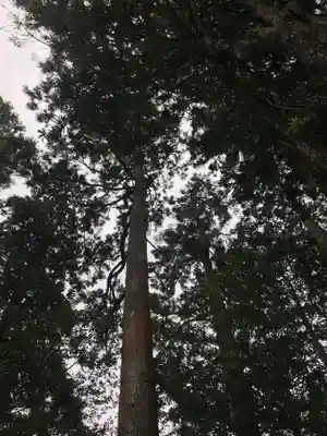 熊野神社の自然
